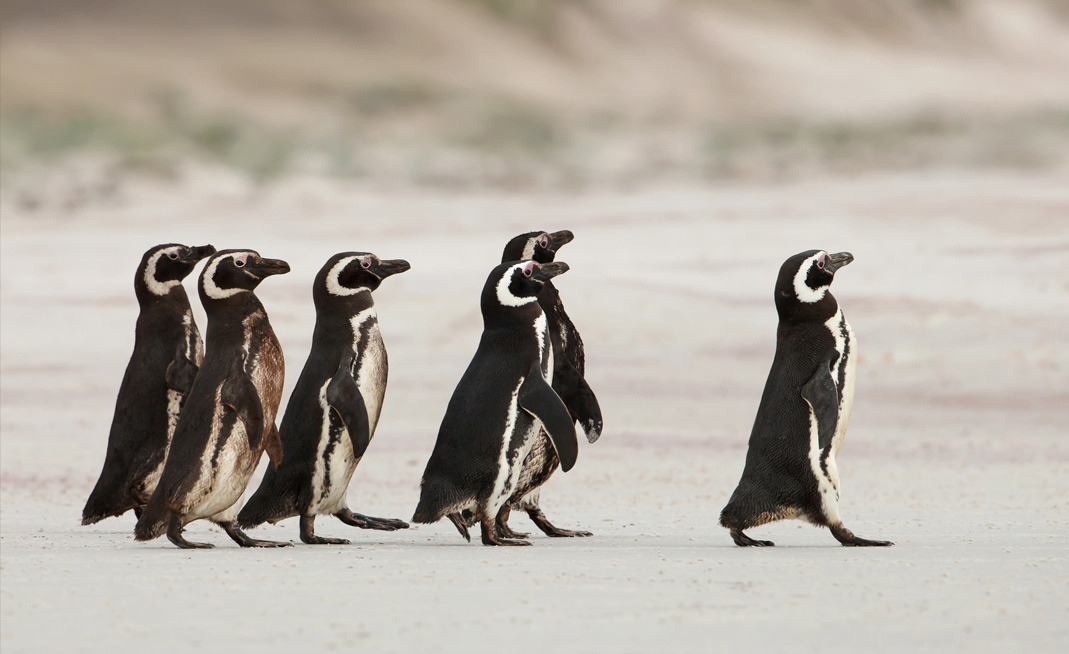 formation-pour-formateurs