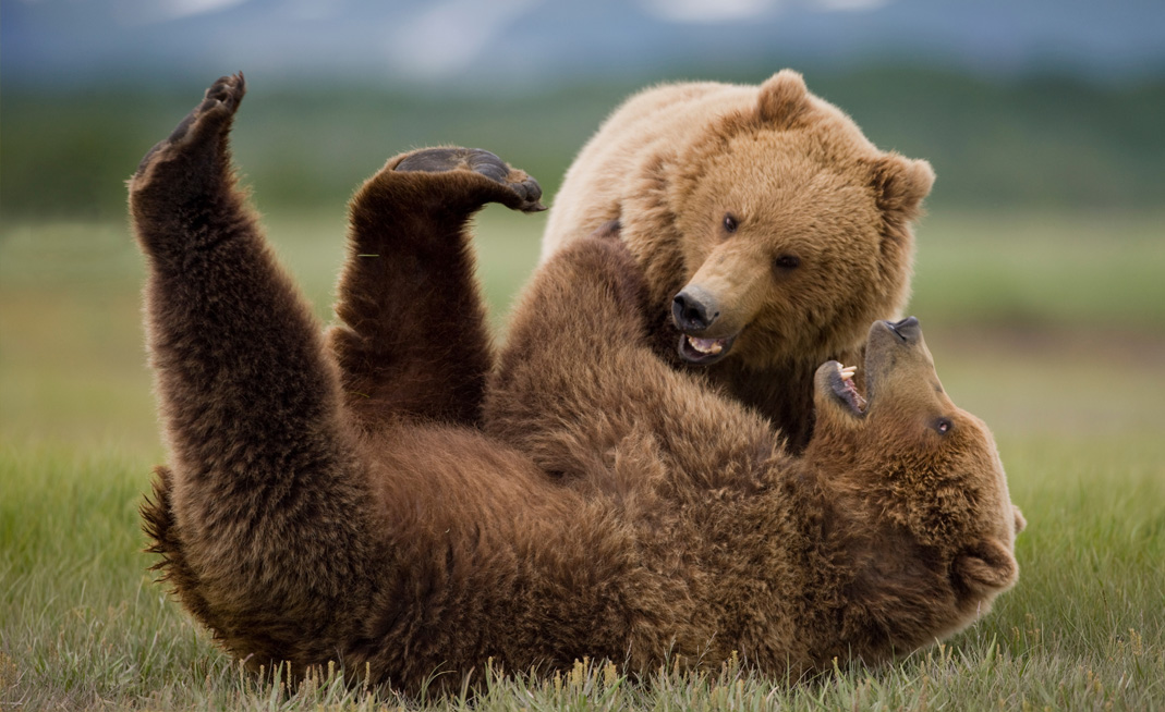 Désescalade physique, formation de gestion de la violence, apprendre à contenir physiquement les patients